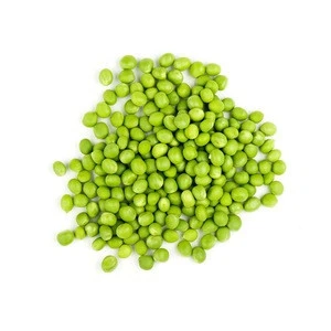 high quality Pigeon green  Peas and seeds  Wholesale