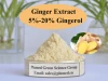 High Quality Powder Ginger 5%-20% Ginger Extract