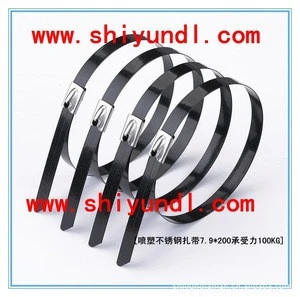 High Quality Stainless Steel Cable Tie For Marine Use