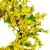 Import high quality winter jasmine flower Christmas Wreath Decoration Christmas Wreath and Garland for home from China