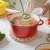 Import Home Kitchen Colorful Cast Iron Red Pink Yellow Soup Pot Cookware 11792 from China