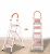 Import Hot Sale Adjustable Stainless Steel Ladders Folding Step Ladders With Wide Step from China