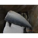 Hot sale best seafood pacific frozen mackerel fish for Canned food
