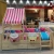 Import Hot Sale Children natural wooden loft bunk bed with tent for girls pink or boys blue from China