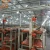 Import Hot sale fully automatic H types of broiler battery cage for Russia farm from China