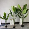 Hot sales 80-210cm Bird of Paradise Tree Plastic Leaf Small Large Potted Ornamental indoor Artificial Tree Plant for Home Decor