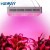 Import Hot sell chinese rohs led aquarium light from China