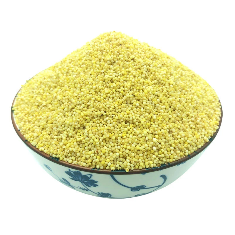 Hot Selling Good Price Golden Yellow Bird Food Millet Panicle