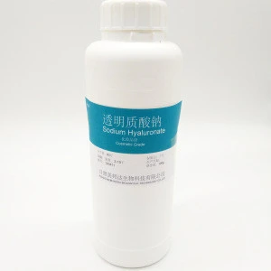 hyaluronic acid / Sodium Hyaluronate manufacturer / Hyaluronic acid powder with competitive price