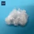 Import Hydrophilic specially pp polypropylene staple fiber from China