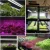 Import hydroponic media mat microgreens nutrients solution nft system pots cups g5 led grow 20w from China