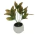 Import Indoor decoration real touch feel mini artificial tropical plants flowers bonsai from China