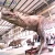 Import INNOVA - Amusement Park Products Robotic Simulation Animatronic Life Size Dinosaur Statues for Sale from China
