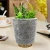 Import Innovative outstanding plastic flower aroma diffuser artificial plant 200ml with essential oil use from China