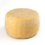 Italian Ripened Semi Hard Pecorino Romano Cheese