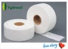 Jumbo Roll tissue paper/Sanitary toilet tissue/House toilet paper