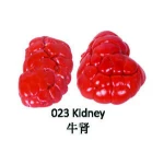 Kidney - Halal Buffalo / Sheep Meat