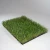 Import Landscaping artificial pampas grass turf synthetic importer from China