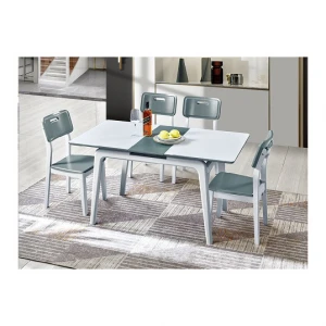 Light green dining chairs and dining table custom furniture in China
