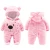 Import Long Sleeve Baby Boy Girl Fleece Cotton Rompers Cartoon Footed Animal Baby Romper Autumn Winter Hooded Baby Clothes Jumpsuit from China