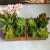 Import Love wood basin plant succulent bonsai Desktop creative green flowers artificial succulent plant from China
