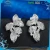 Import Low MOQ Hot Sale Earring Hidden Camera Costume Jewelry Display from China