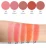 Import Makeup cosmetics oem compact private label blush palette from China