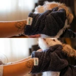 MicroPerformance Dog Drying Glove One Pairs Soft and Plush  Grooming Gloves for Dogs Horses and Animals