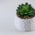 Mini Artificial Potted Plastic Handicraft Succulent Bonsai Plants in Ceramic Pot for Indoor Home Decor