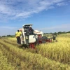 Mini rice crawler harvesting machine paddy combine harvester grain