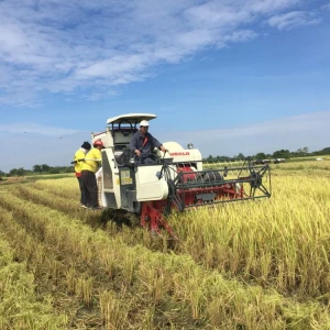 Rice Harvester Machine Best Price For Sale For Rice & Wheat