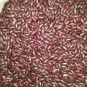 Myanmar Red Kidney Beans