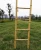 Import Natural Bamboo Ladder for Climb or Home Decore from China