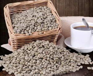Natural dried raw Coffee beans unprocessed Coffea arabica seeds java, joe for beverage