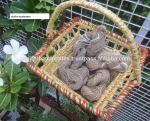 natural handmade tussah yarns suitable for yarn stores and for knitters available in 100 gram skeins