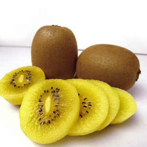 New Crop Sell Well Premium Fresh Yellow Kiwi fruit Pulp  Organic Standard Heart Kiwi Fruit