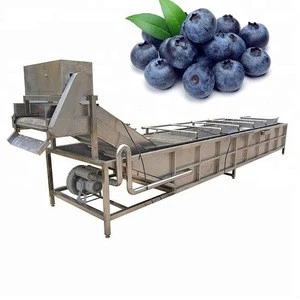 New Fresh Fruits Vegetables Automatic Washing And Drying Machine