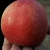 Import Nice price red nectarine delicious and sweet peach from China