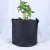 Import Non Woven Fabric Pots 1- 100 Gallon Felt Fabric Garden Pot Flower Planter Felt Plant Growing Bag from China
