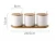 Import Nordic Seasoning Jar Set of 3 Ceramic Pepper Salt Containers Storage Condiments Spice Rack from China
