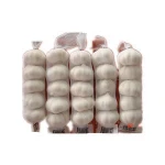 normal white garlic /  fresh garlic with low price