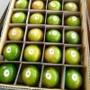 Orange Naval Fresh Fruits of Thailand Wholesaler som sai nam peung Zain Brands