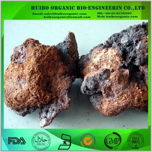 Organic chaga mushroom powder / extract