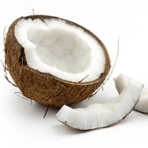 Organic Coconut Milk Powder in bulk