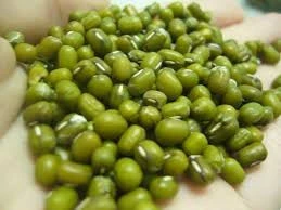 Organic Green Mung Beans