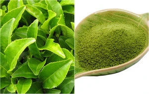 Organic Green Tea powder making from Quality Green tea leaves