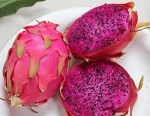ORIGEN AND PHYTO SANITARY certification and Fresh Style YELLOW DRAGON FRUIT