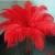 Import PARTY DECORATION OSTRICH FEATHERS FOR WEDDING CENTERPIECE feathers ostrich wedding decoration feather from China
