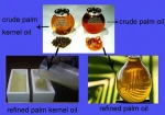 peanut oil making machine price