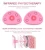 Import Personal care beauty product breast enhancer enlarger massager chest breast massage with APP from China